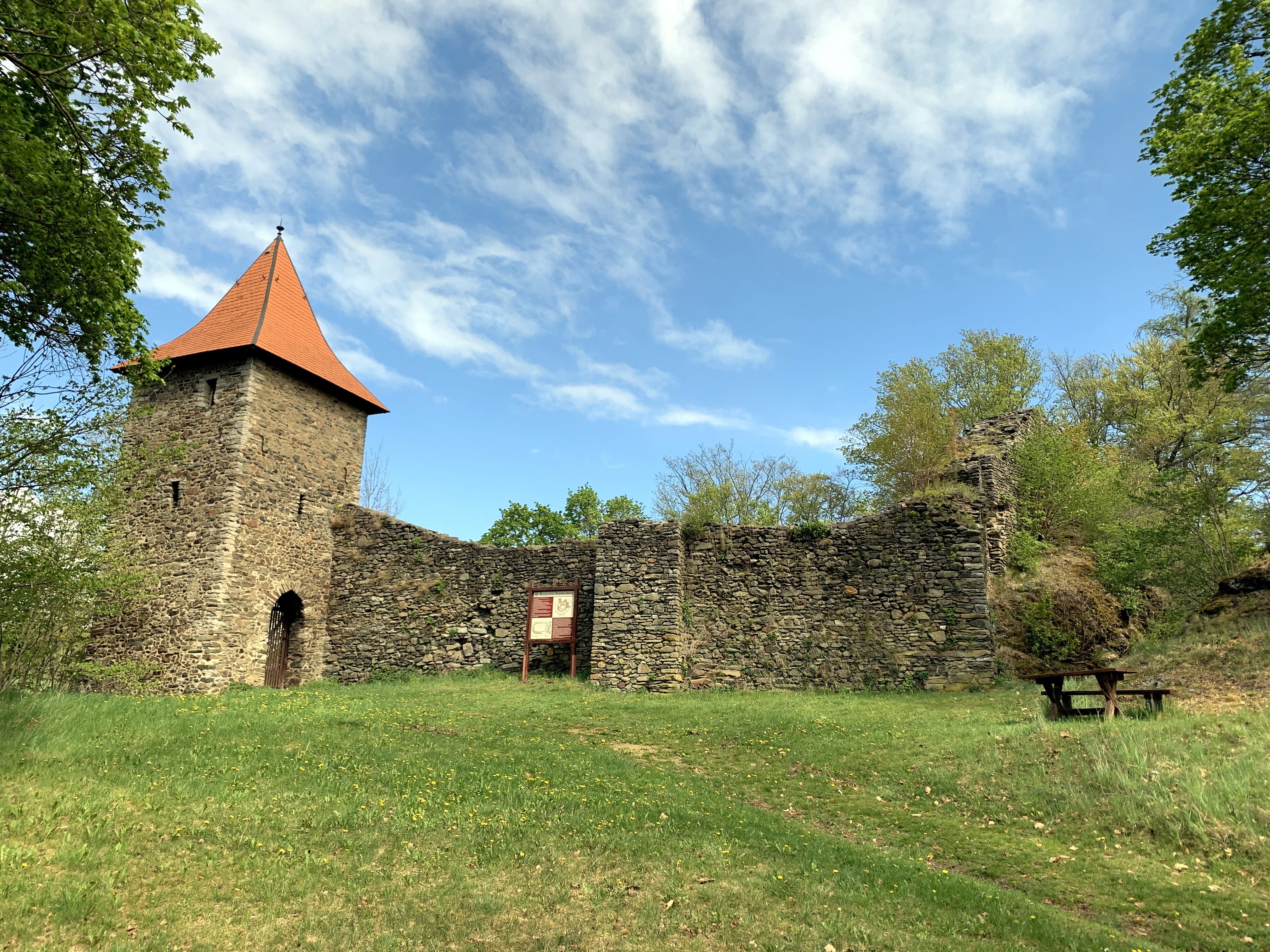 Burgruine Wiedersberg: Turm mit Steinmauer bei Sonnenschein mit hellblauem Himmel und Lwenzahn-Wiese
