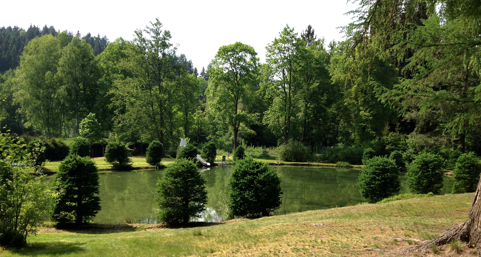 Teich im Freibad Bad Elster mit viel Liegewiese und Grün