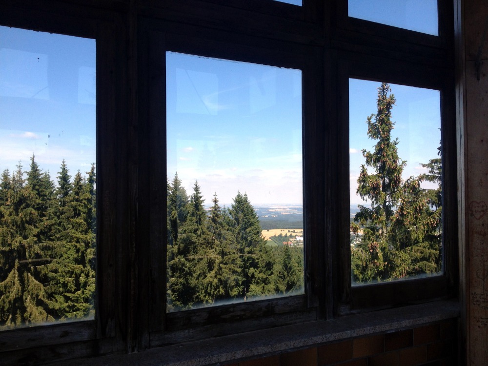 Blick durch Fenster auf Baumkronen