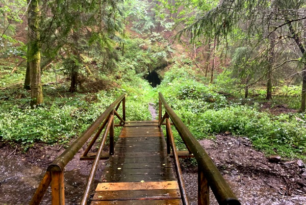 Holzbrücke über Bach im Regen auf dem Weg zu einer Höhle im Wald