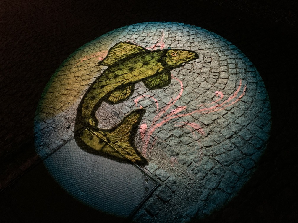 Kreisrundes Leuchtbild auf dem Fußboden mit grünem Fisch als Motiv.