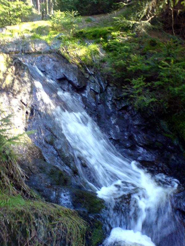 Wasserfall Riflle Vogtland