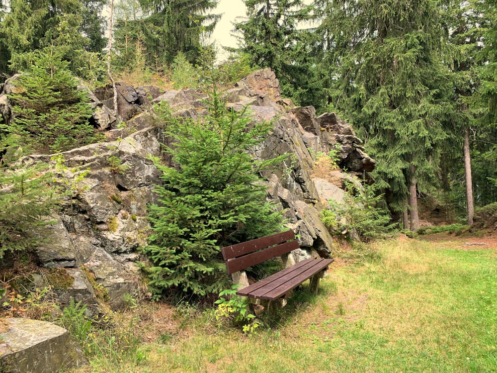 Sitzbank vor Baum und Felsen im Wald mit grasbewachsenem Weg