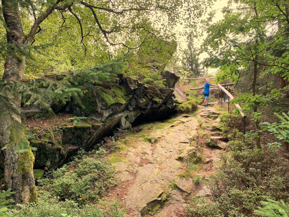 Mittels Geländer gesicherter Kletterweg auf einem Felsen nach oben. Ringsum Bäume.
