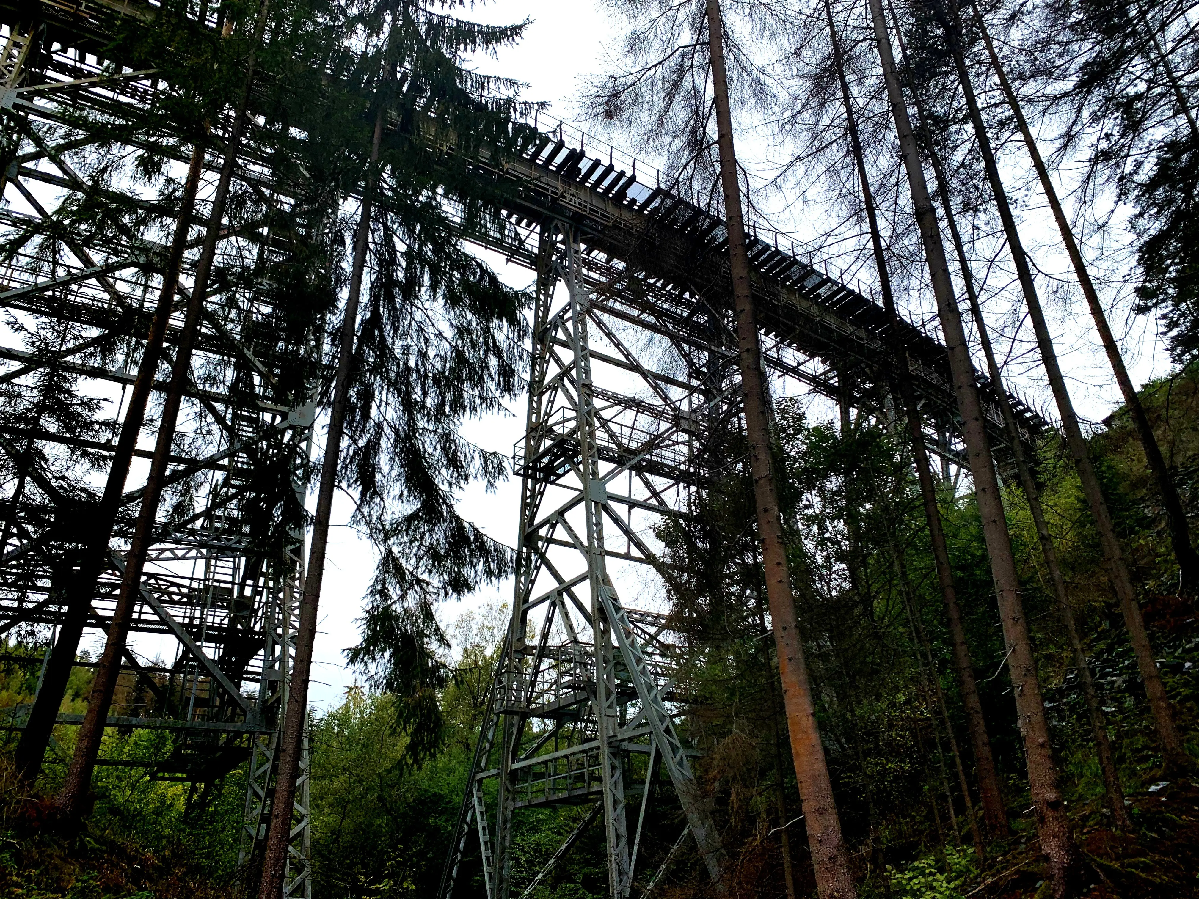 Alte hohe Metallbrcke im Wald