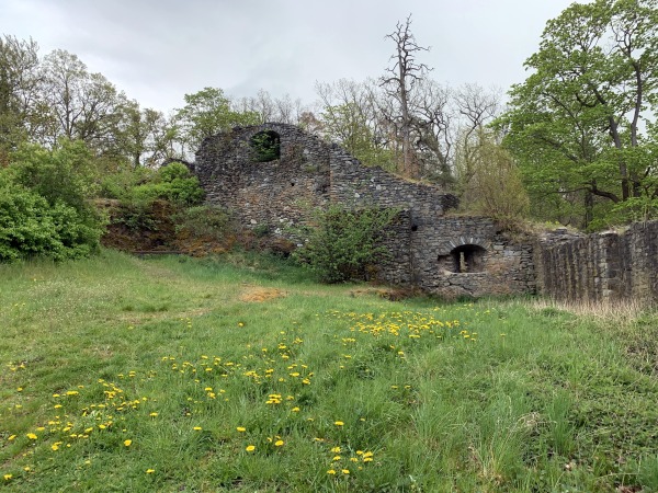 Steinmauer auf Wiese mit Lwenzahn