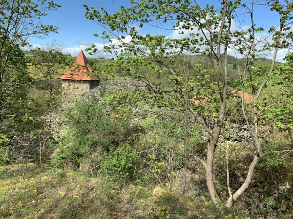 Turm und Mauer versteckt im Wald