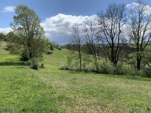 Hang mit Wiese, abfallend von links nach rechts, vereinzelt Bume und Strucher, blauer Himmel mit Wolken