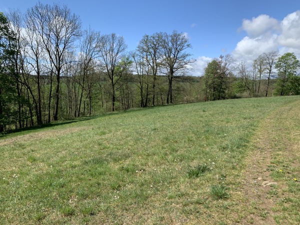 Hgelland, grasbewachsen bei schnem Sommerwetter