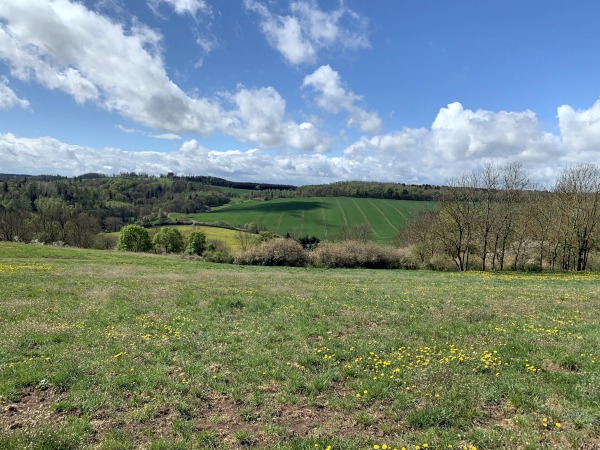 Wiese, Felder und Wlder, Himmel