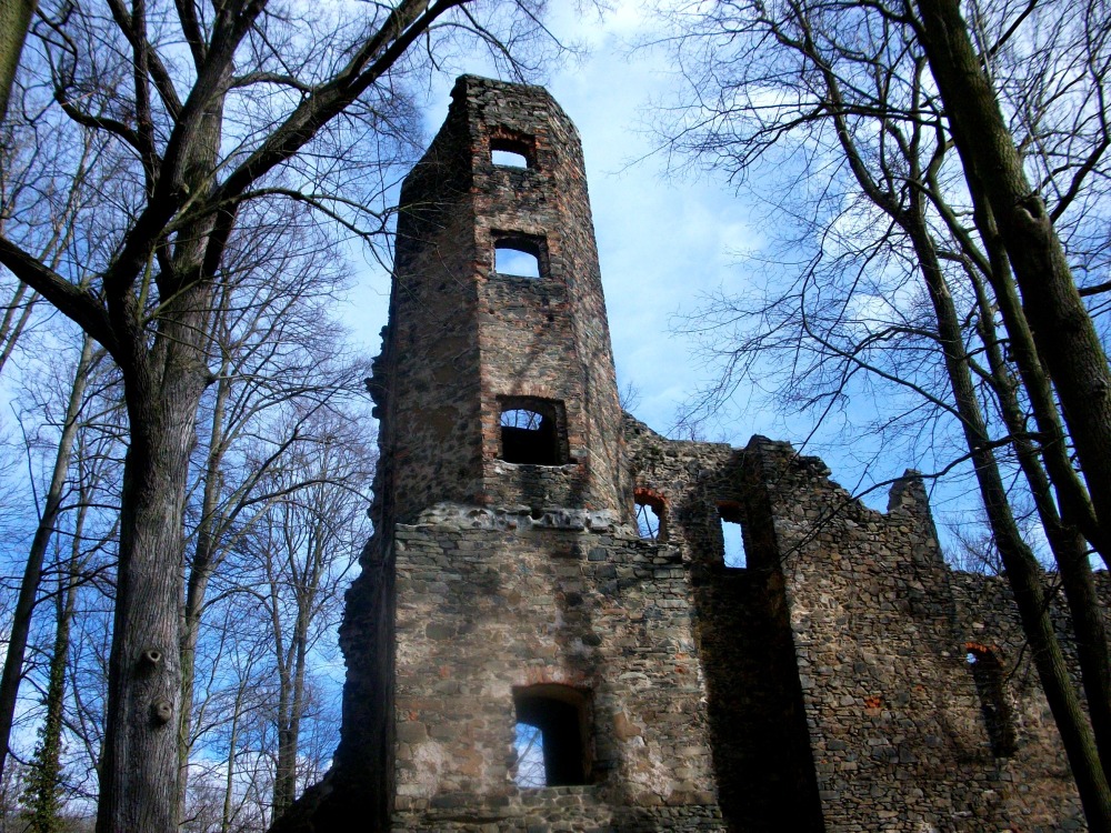 Die Burgruine