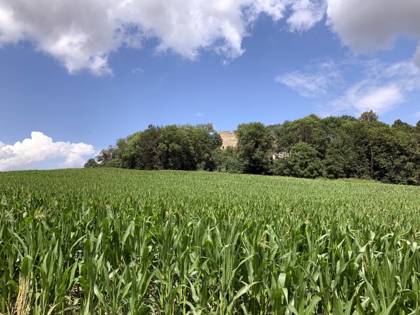 Grnes Feld, blauer Himmel. In der Mitte Bume mit Ruine