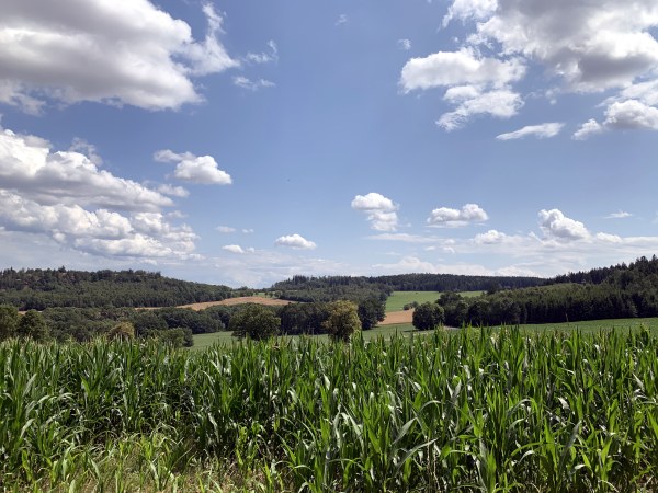 Blauer Himmel mit Wolken ber Maisfeld. Am Horizont: Felder, Wiesen und Wlder