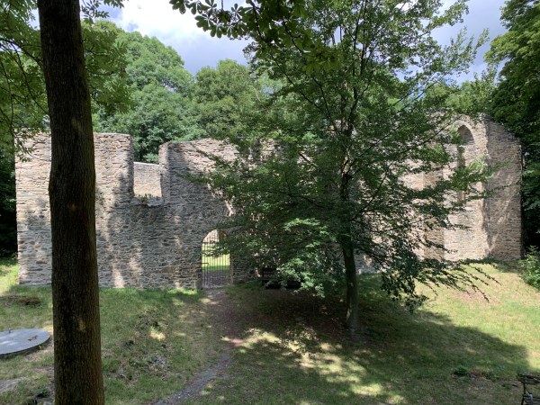 Halbhohe Ruinenmauer, initten von Bäumen