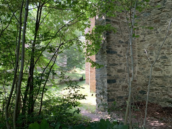 Links Bäume im Sommer, rechts Mauer der Ruine