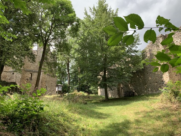 Bltter ragen ins Bild. Bume stehen auf Wiese. Dazwischen die Mauern ehemaliger Kirchen