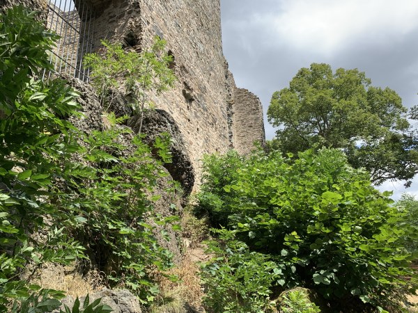 Zwischen Bäume rießige Stein-Mauer einer Ruine am Hang