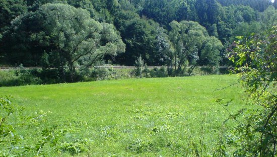 Am Ende der Wiese kann man die Bahnschiene erkennen.