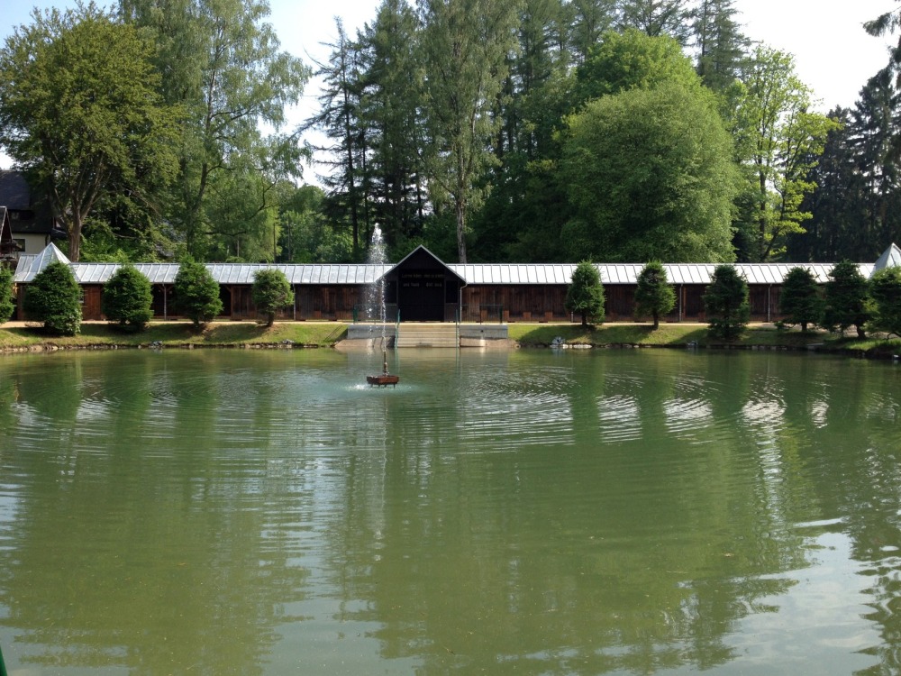 Teich mit Springbrunnen