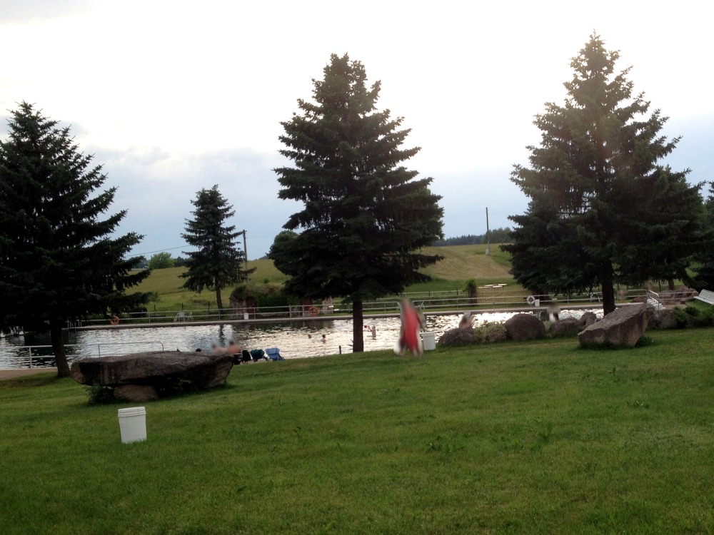 Wiese mit Bumen vor Schwimmbecken in der Abenddmmerung