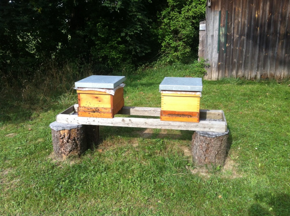 Zwei Bienenstcke