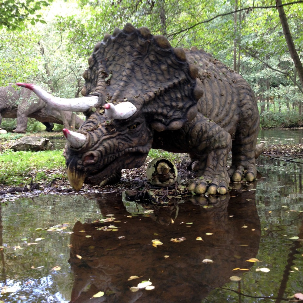 Triceratops