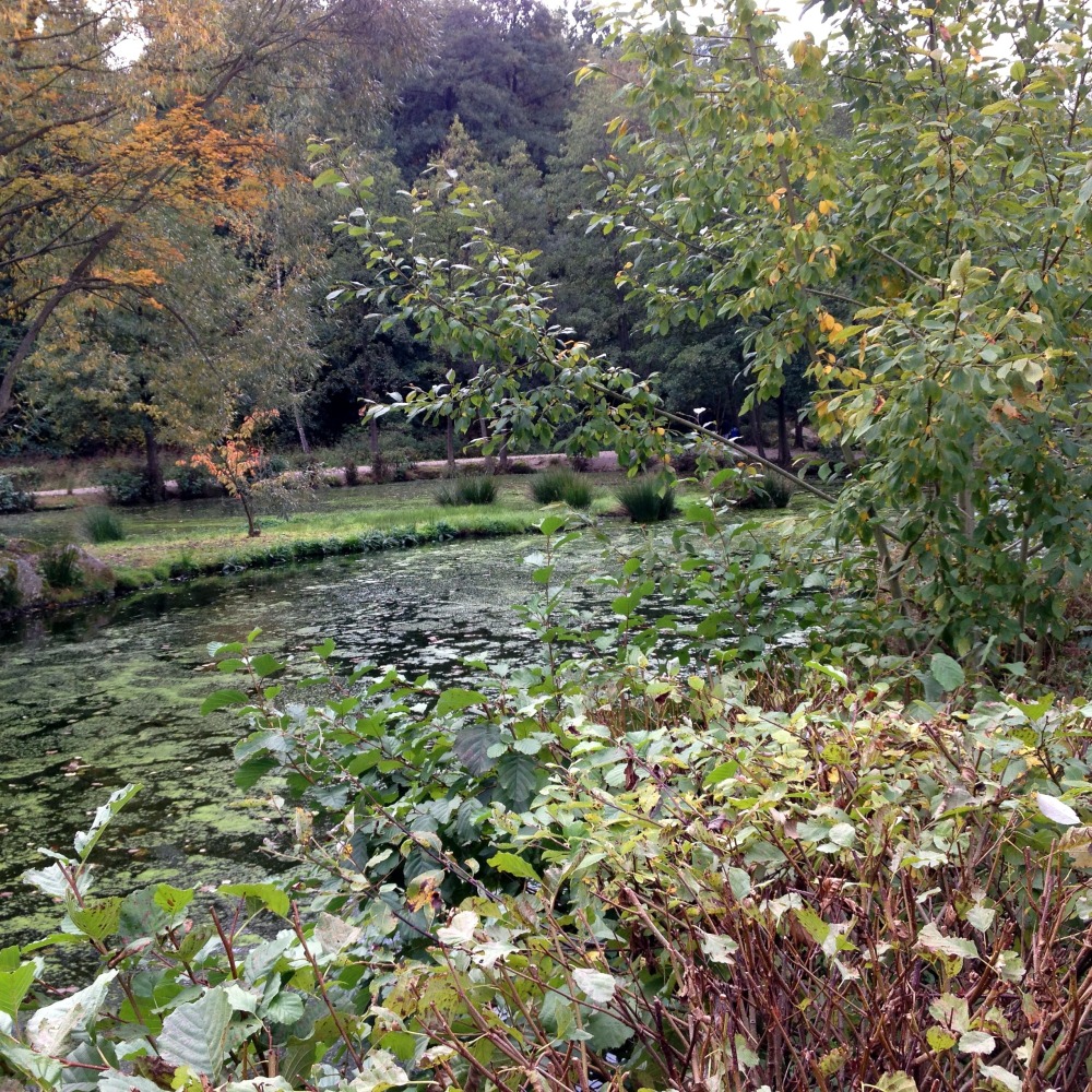 Spaziergang durch den Garten