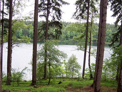 Geigenbachtalsperre Poppengrn Werda