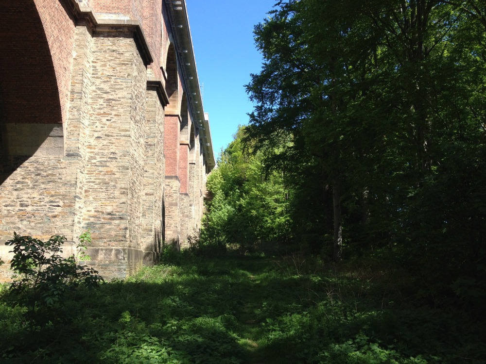 Oberer Bereich der Gltzschtalbrcke, der bis zur Kuppe reicht