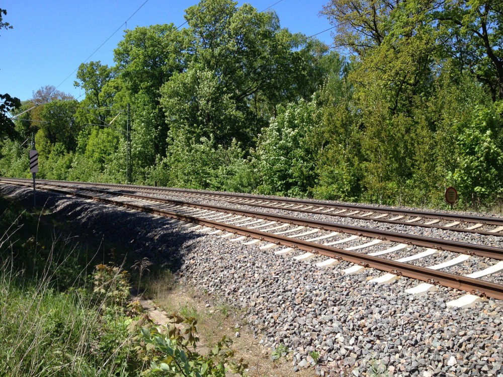 Bahnschienen unmittelbar vor der Gltzschtalbrcke.