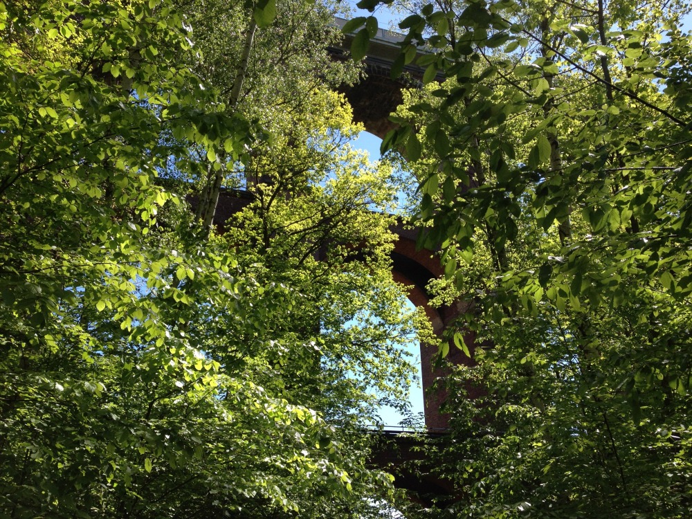 Blick von oben durch Bume auf obere Torbgen der Gltzschtalbrcke