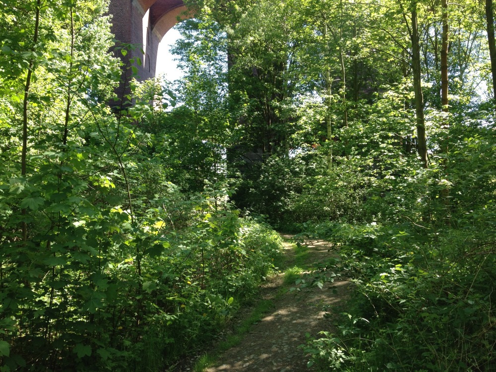 Waldweg in Richtung Rundbogen