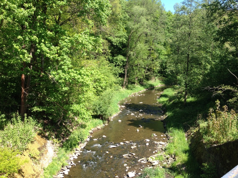 Bach mit Steinen im Wald