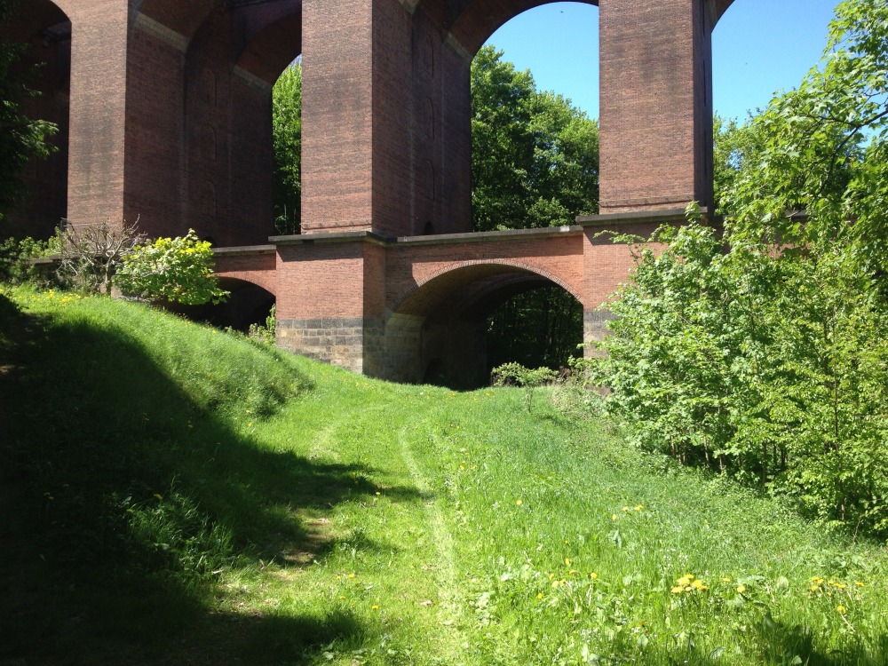 Wiesenweg durch kleinen Rundbogen