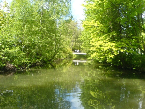 Romantisch sind die Bume ber das Wasser gewachsen