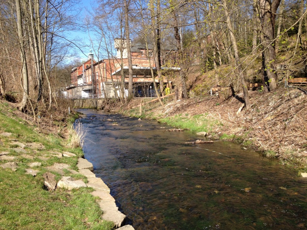 Gltzsch am Hofaupark, flussabwrts