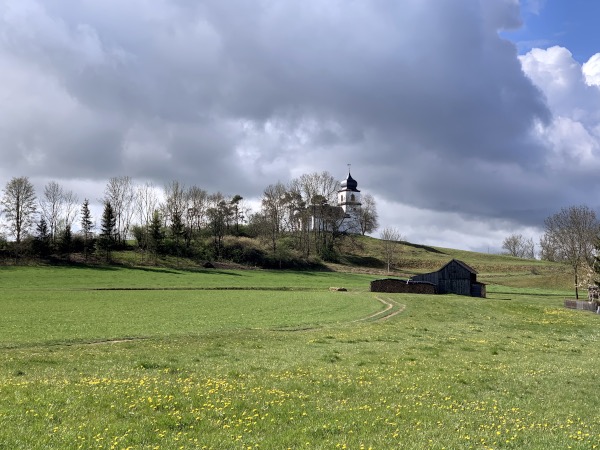 Himmel und Wiese. Am Horizont auf Hgel neben Baumgruppe weie Kirche