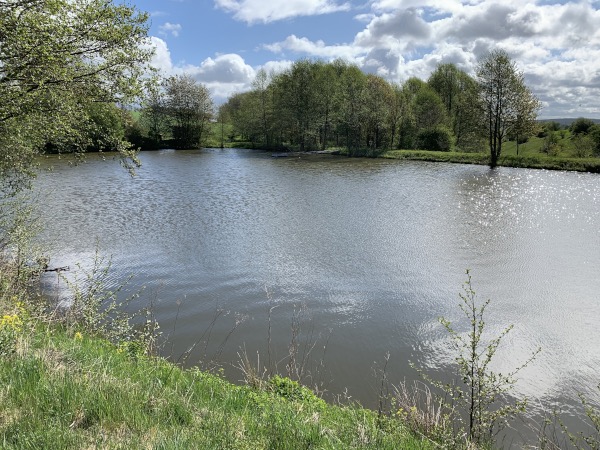 Teich, umsumt mit Bumen, bei sonnigem Wetter mit vereinzelen Wolken