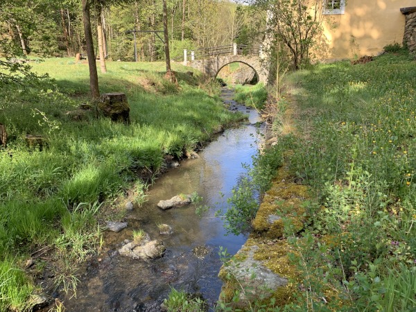 Bach in der Weiese auf dem Weg zu einer kleinen Brcke