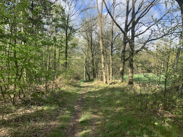 Wanderweg am Feldrand zwischen Bumen