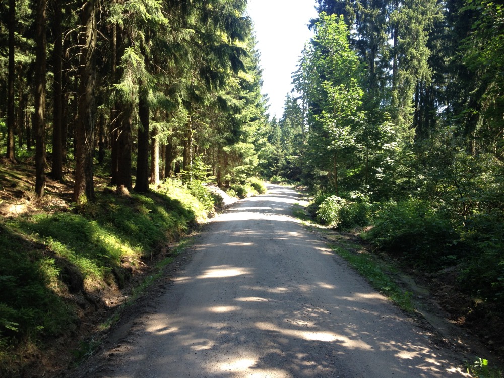 breiter Wanderweg