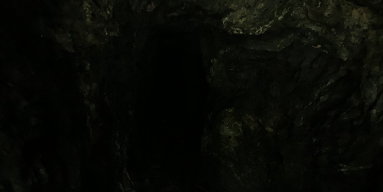 Gitter vor Höhleneingang zwischen moos- und farn-bewachsener Stein.