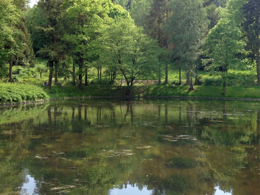 Teich mit Rundweg