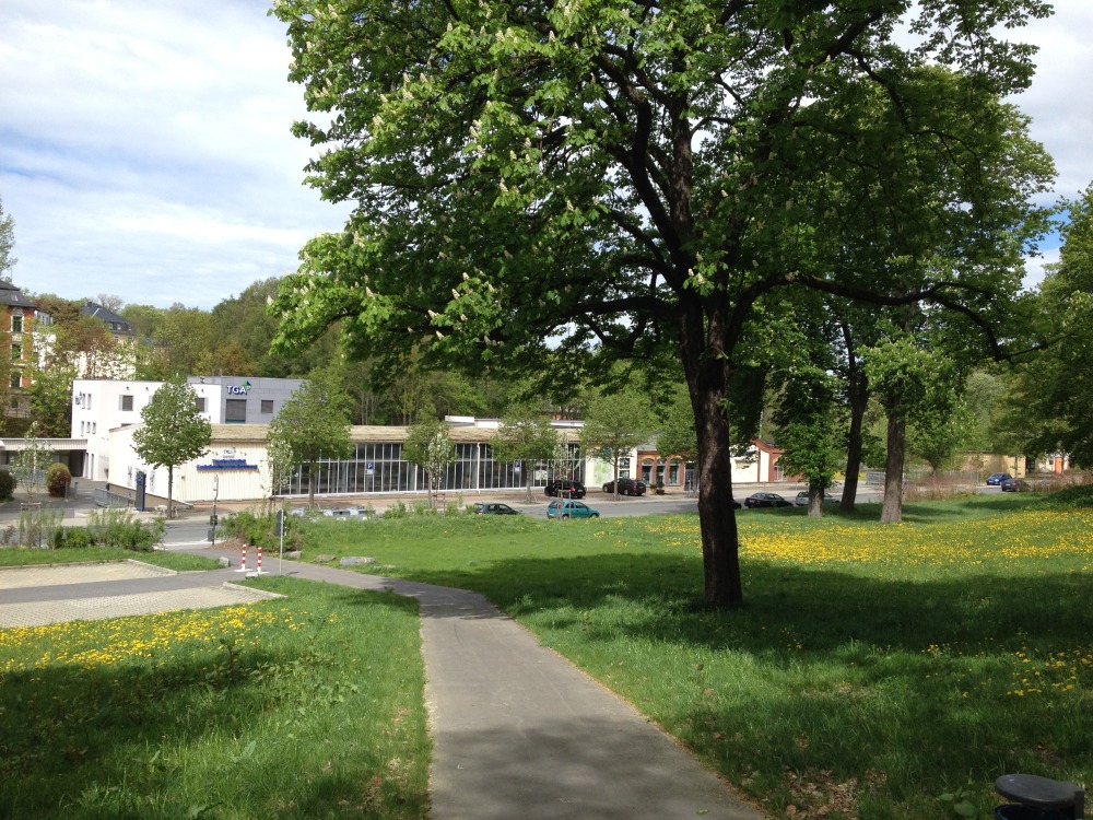 Weg nach unten auf Wiese. Rechts am Wegesrand ein groer Baum. Im Hintergrund Firmengebude der TGA