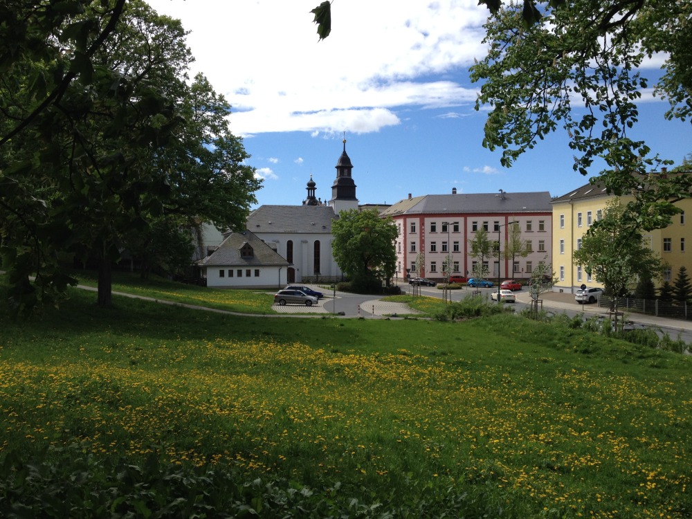 Wiese mit zahlreichen gelben Blumen. Im Hintergrund Strae und Huser.