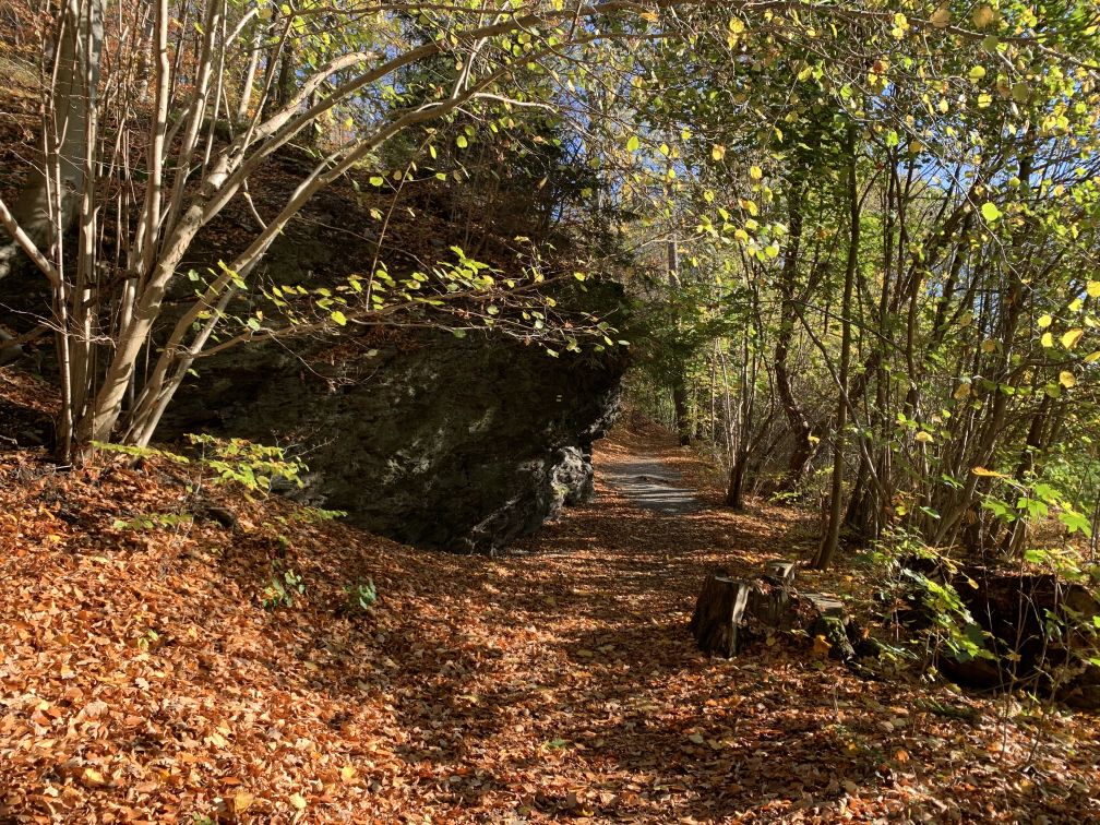 Felsen an Weg, auf dem Weg viel Herbstlaub unter Bumen