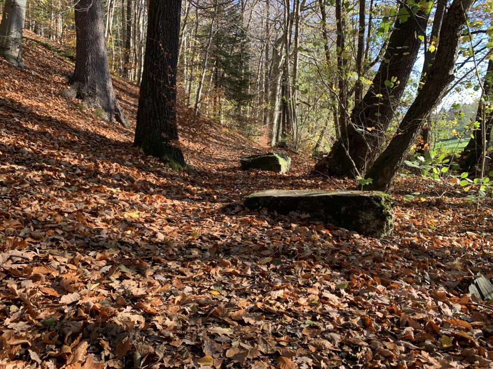 Stein im Laub im Wald