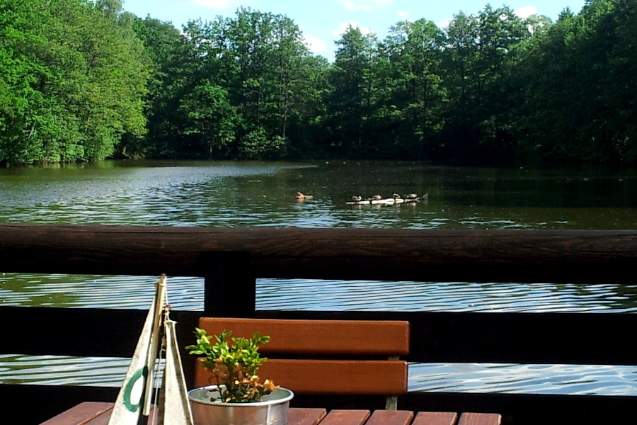 Blick vom Biergarten auf den Teich