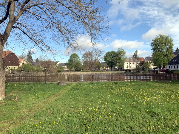 Wiese mit Lwenzahn an Zaun zum Dorfteich im Dorf. Leicht bwlkt.