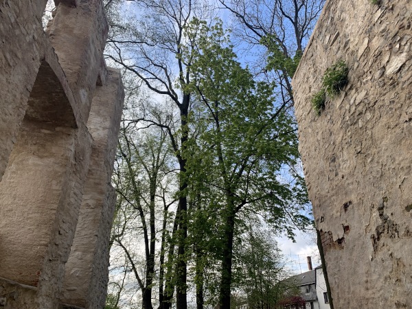 Zwischen zwei Steinmauern einer ruine ohne Decke. Sicht auf Bäume.